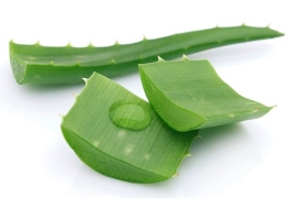 Làm mặt nạ nha đam mát mẻ cho ngày hè