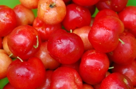 Sở hữu làn da đẹp và vóc dáng thon gọn với trái sơ ri