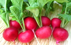 Những thực phẩm giúp tăng kích cỡ vòng 1 nhanh chóng hiệu quả