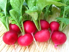 Những thực phẩm giúp tăng kích cỡ vòng 1 nhanh chóng hiệu quả