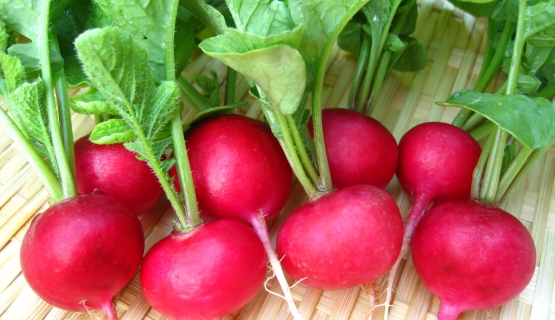 Những thực phẩm giúp tăng kích cỡ vòng 1 nhanh chóng hiệu quả