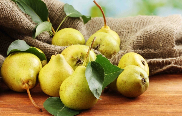 Những loại thực phẩm giúp thụ thai tốt nhất