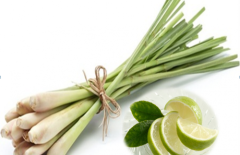 Giảm cân an toàn với nước chanh-sả