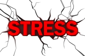 Những triệu chứng và cách chữa trị stress
