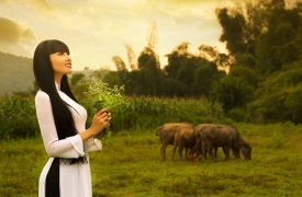 Nàng hương đồng cỏ nội