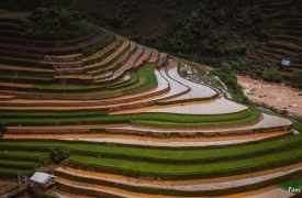 Mù Cang Chải đẹp như tranh mùa nước đổ