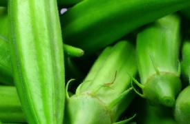 Đậu bắp: “Cây Viagra” tốt cho 