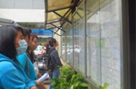 Rủi ro rình rập sinh viên làm thêm dịp cuối năm