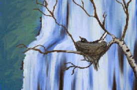 4 bài học quý giá về cuộc sống cho mọi người