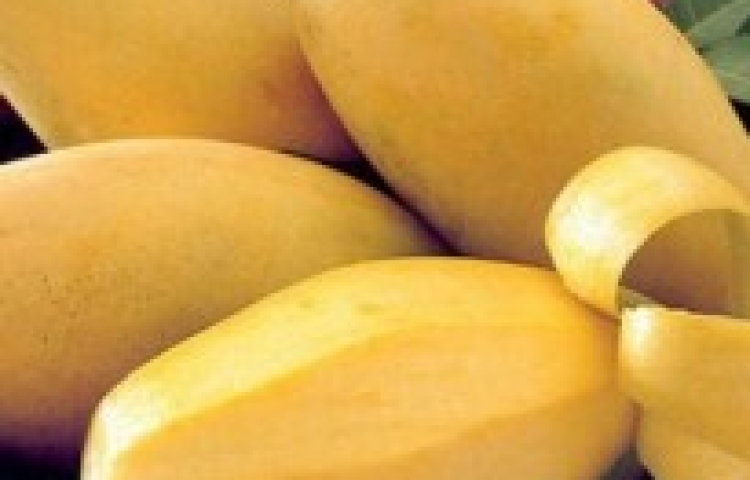 Tổng hợp bí quyết làm đẹp từ quả xoài