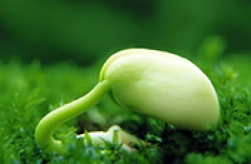 Gieo nhân lành gặt quả đẹp