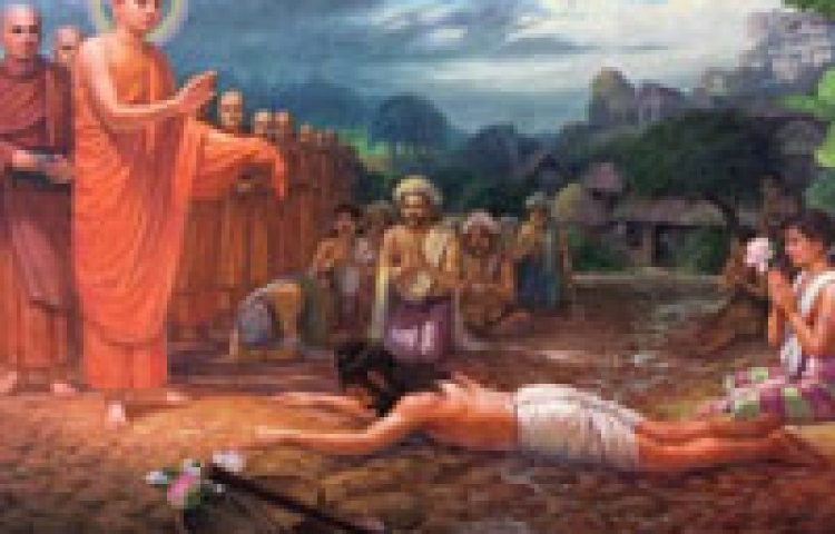 Bức tranh cuộc đời 