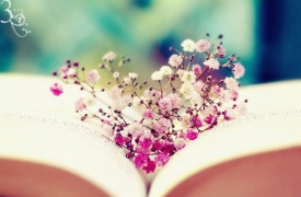 14 cách để cảm nhận hạnh phúc 