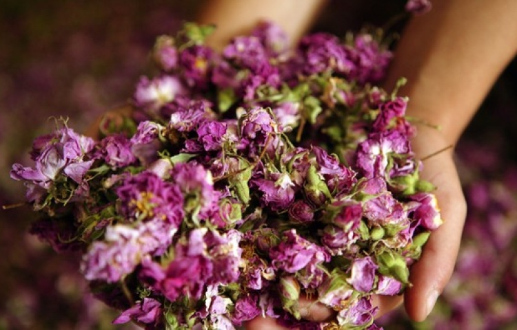 Mỹ phẩm hữu cơ an toàn cho phái đẹp 